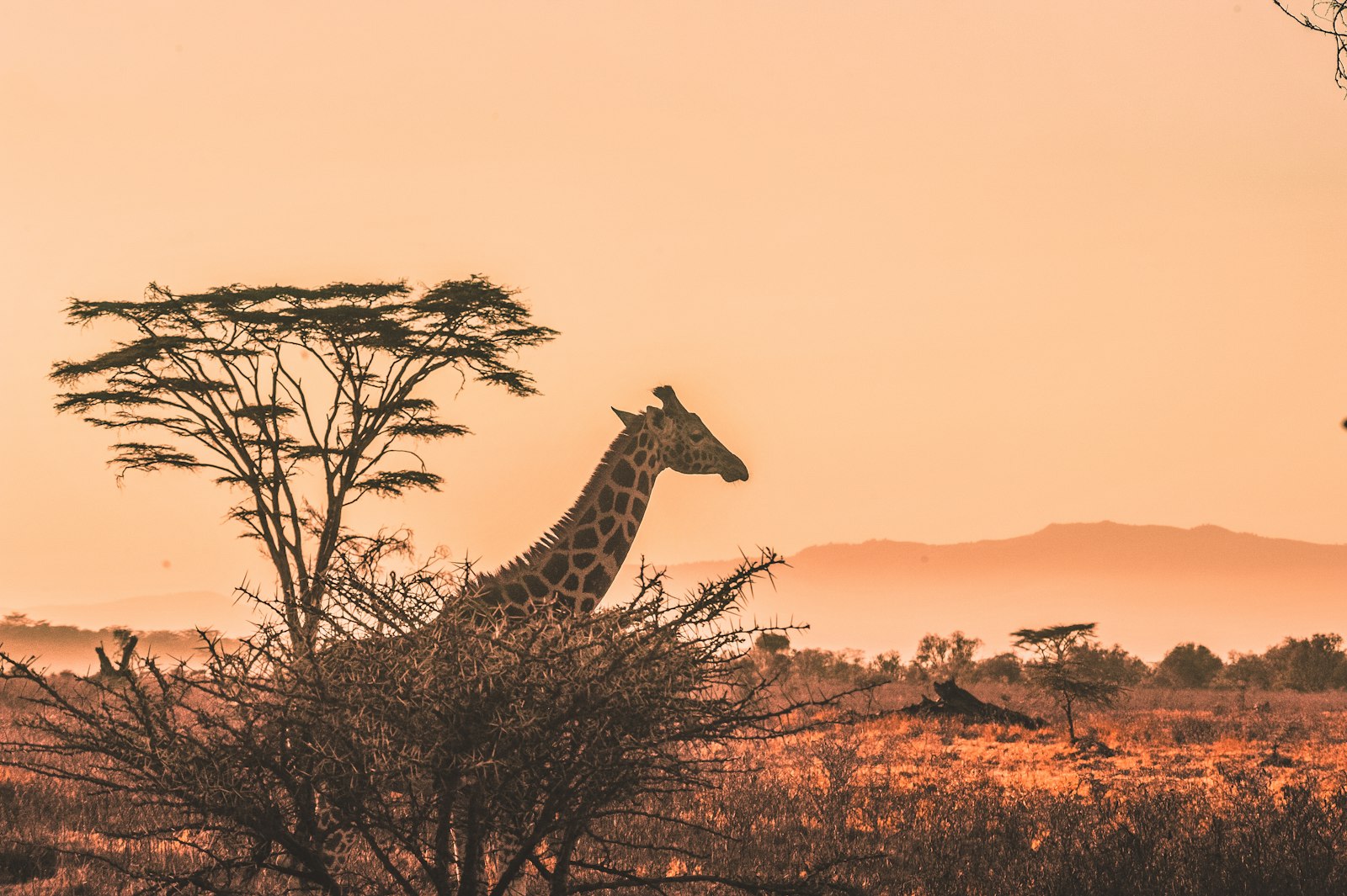 Destination culture